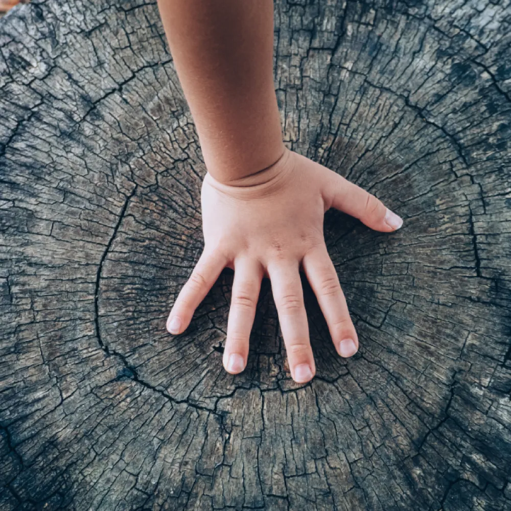 Hand on tree