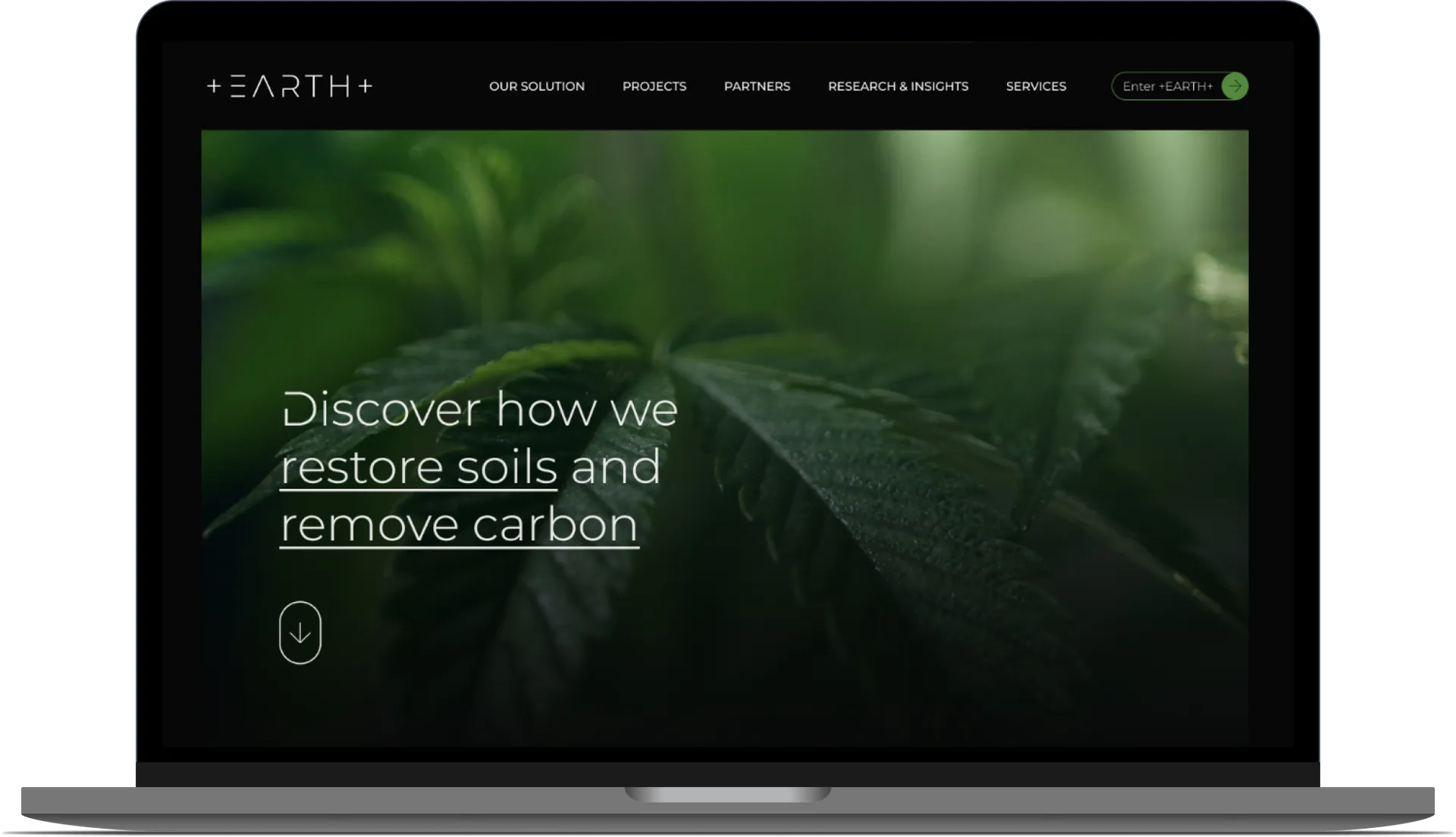 Mockup of the homepage for +EARTH+