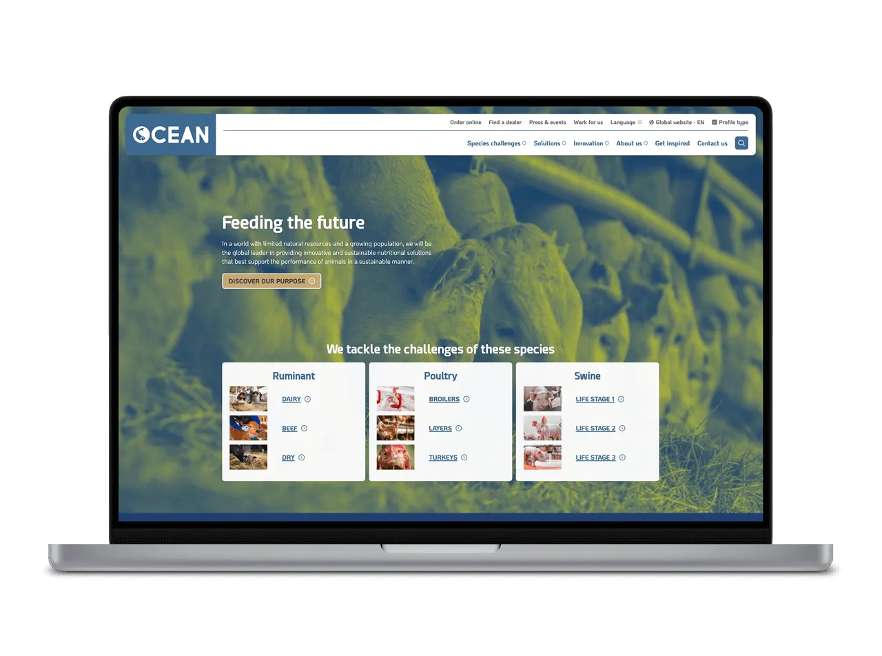 A man installing solar equipments.