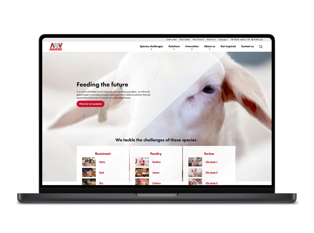 A man installing solar equipments.