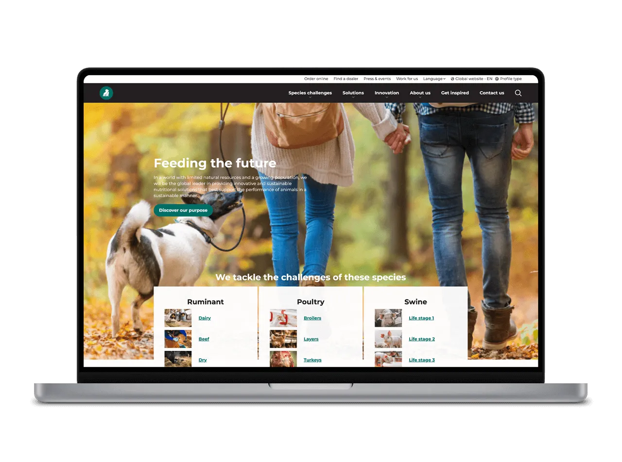 A man installing solar equipments.