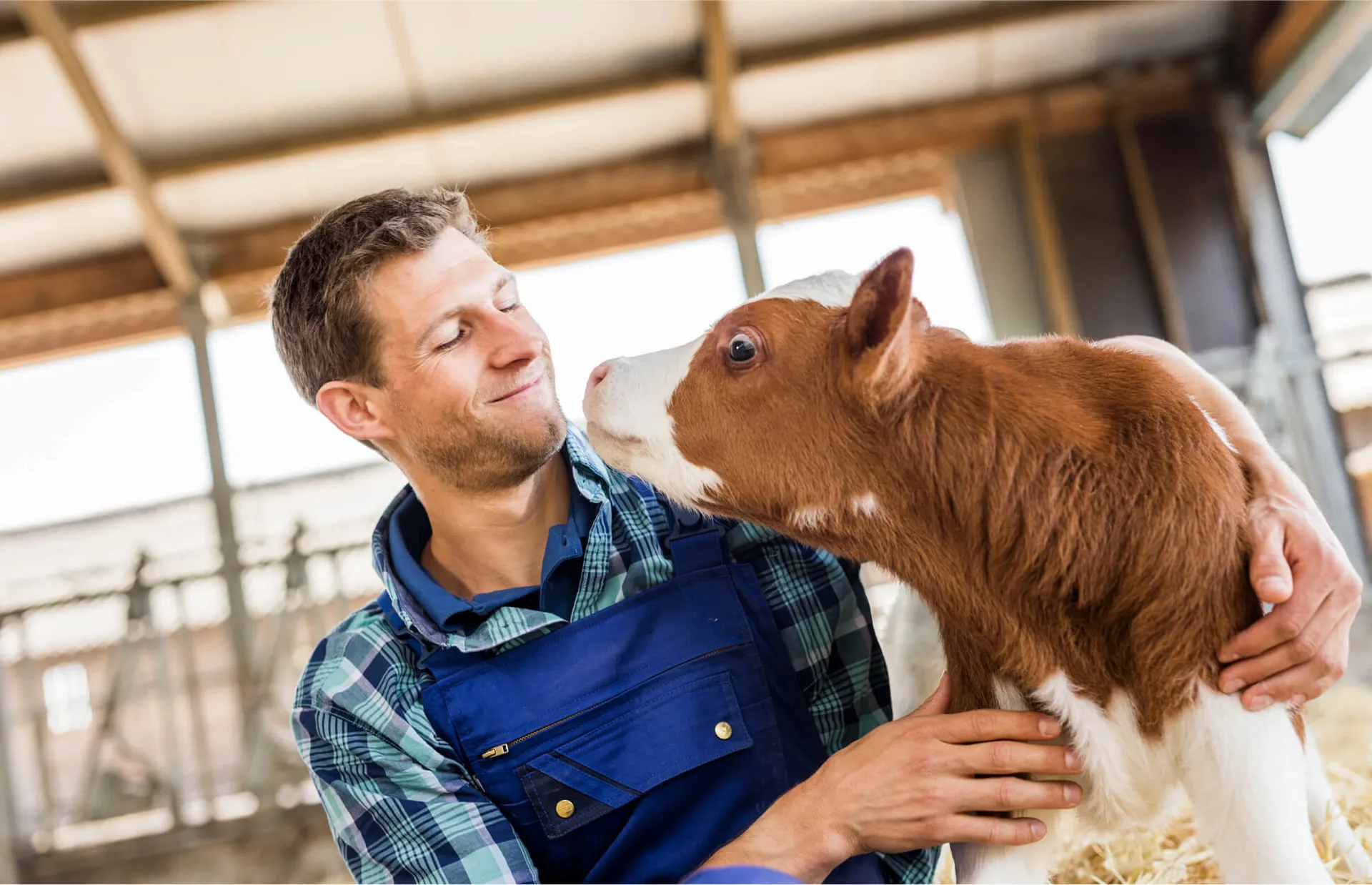 A man installing solar equipments.