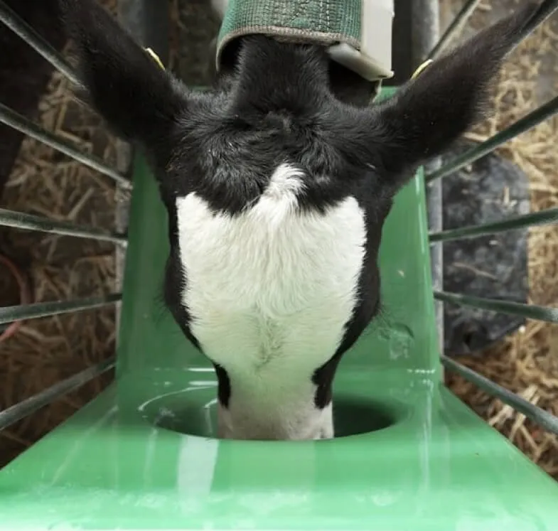 A man installing solar equipments.
